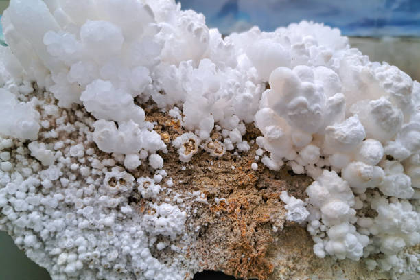 istock White mineral clusters on brown rock, resembling frothy bubbles or small, rounded crystals. 2168742130