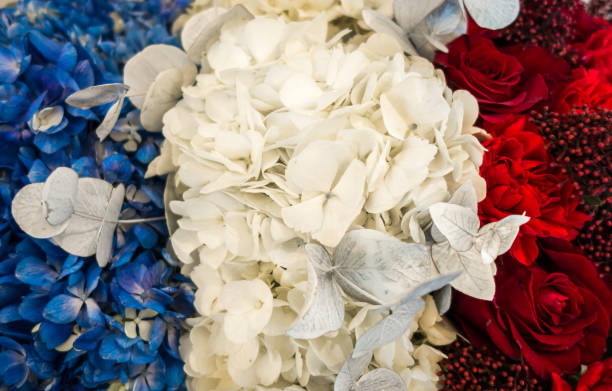 istock French flag made of flowers 2168751898