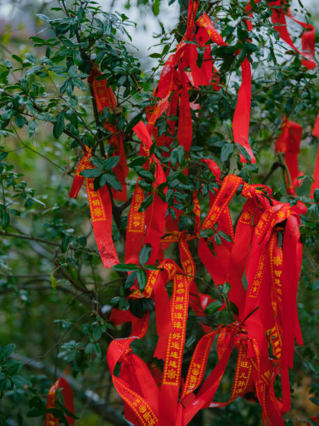 Chinese red wishing ribbons on the tree with green leaves