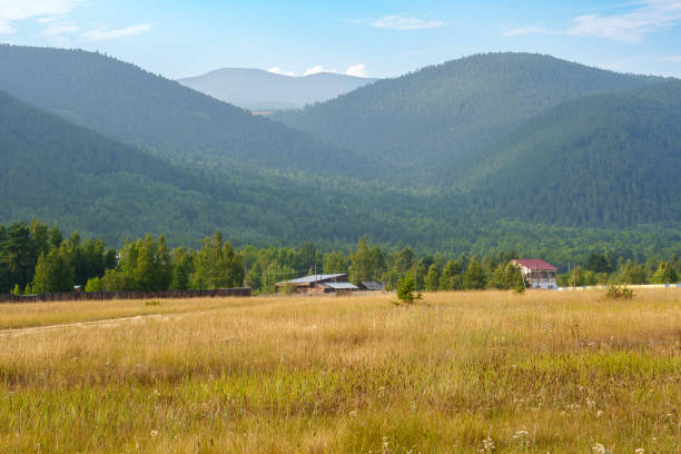 A rural farmhouse sits in a sunlit field, surrounded by lush green mountains under a clear blue sky, creating a peaceful and idyllic countryside scene.