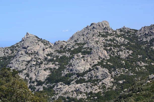istock Trekking sul Monte Limbara e nei suoi boschi 2168766885