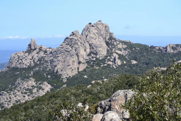 Trekking sul Monte Limbara e nei suoi boschi
