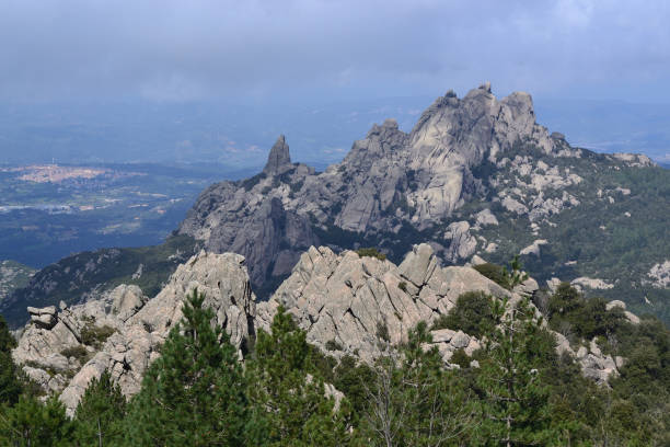 istock Trekking on Mount Limbara and its woods 2168766902