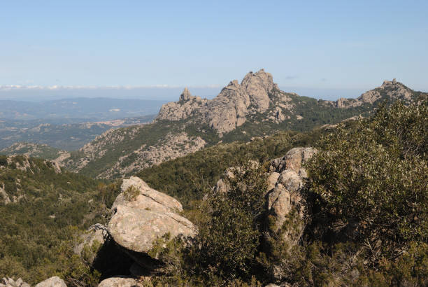 istock Trekking sul Monte Limbara e nei suoi boschi 2168767025