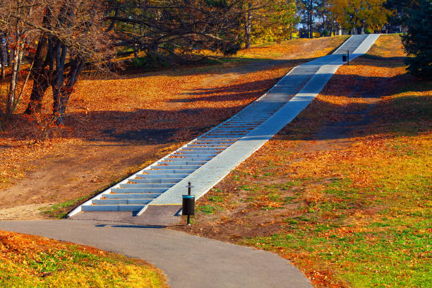 Path with a staircase leading up to a hill. The path is lined with trees and autumn leaves