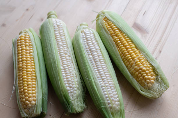 istock Delicious yellow and white kernels of corn 2168771299