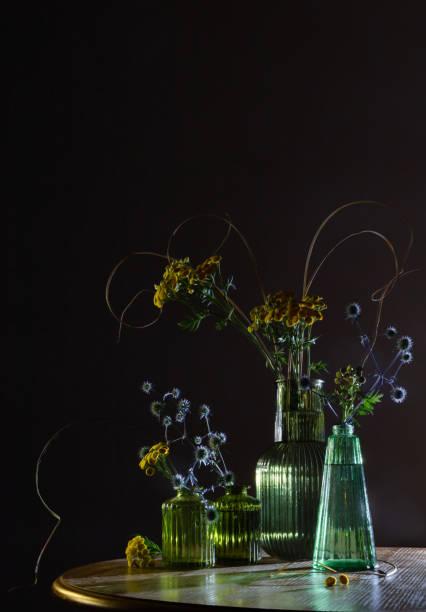 summer still life on dark background