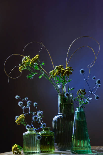 istock summer still life on dark background 2168775407