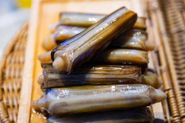 A row of fresh razor clams neatly placed on a bamboo tray, showcasing their smooth shells and appealing sheen