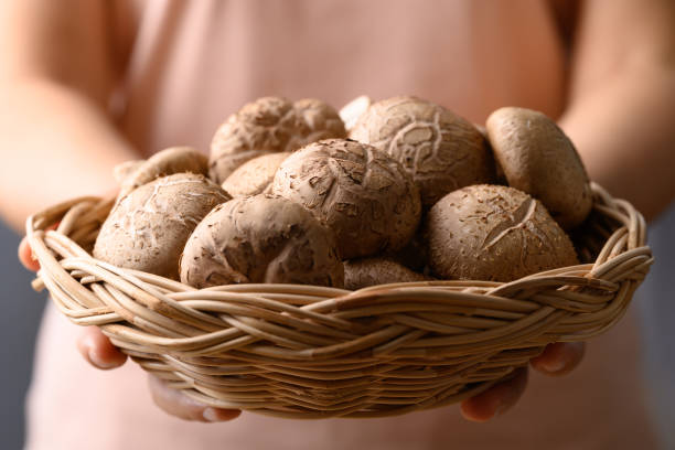 istock Fresh shiitake mushroom in basket holding by hand 2168782889