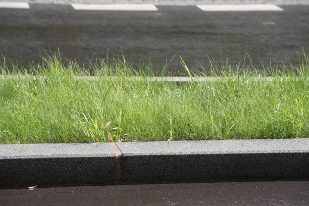 A quiet city street with a sidewalk lined by young spring trees stands in front of a modern building with a red brick and white facade. Shadows cast by the bare branches and the green grass strip suggest a calm, sunny day in a suburban area.