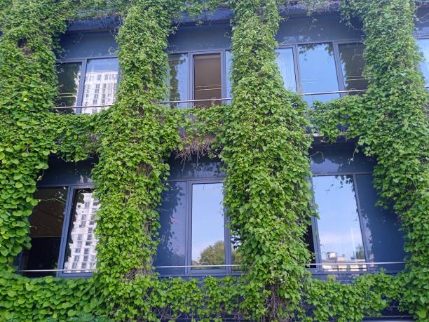 istock the green, lively city as it should be 2168784134