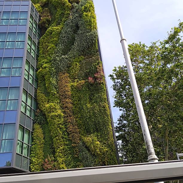 istock the green, lively city as it should be 2168784290