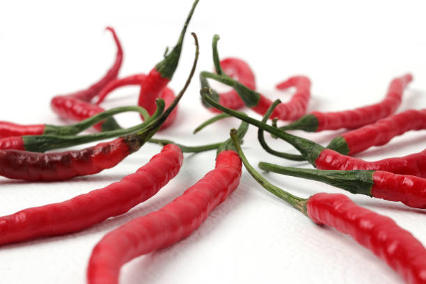 Scene of the red chili which looks very hot against a white background. No people.
