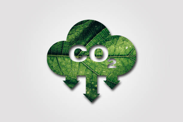 istock Carbon dioxide co 2. Vector illustration,co 2 emissions vector Co 2 neutral concept. Save the world, environmental and ecology concept vector illustration. 2168790186