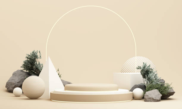 istock Product display podium geometric shape with nature leaves on white background. 3D rendering 2168792390