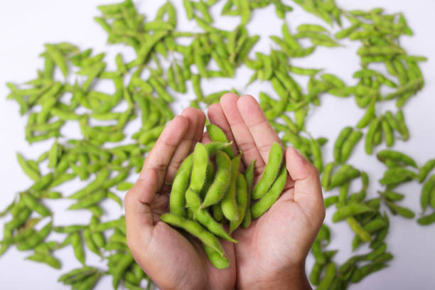 A handful of fresh edamame beans is shown against a blurred, defocused background of additional edamame beans