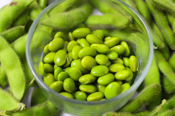 istock Glass Bowl with Edamame Beans on White Background 2168793758