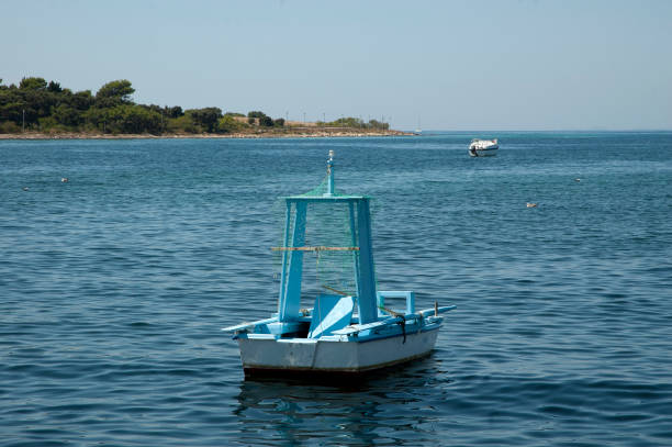 Blue and white small boat at sea