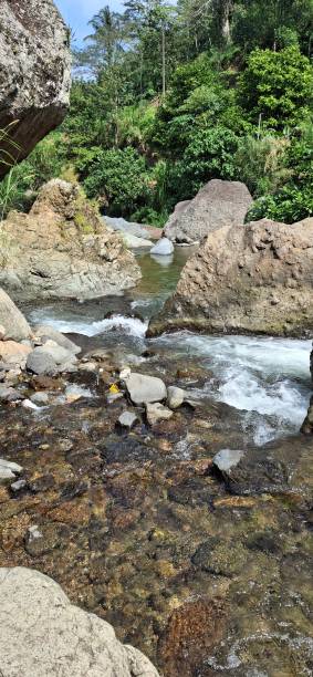 istock clear river water flow with large rocks, river head, river head in the mountains, clear river with rocky contours with trees on the banks and bright blue sky 2168824613