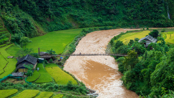 Terraced rice field in Mu Cang Chai, Vietnam