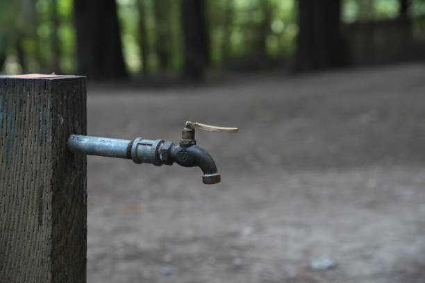 Water spigot at campground.  Forest backdrop.