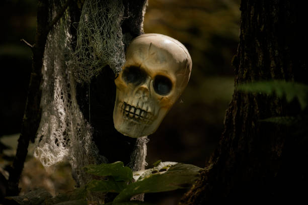istock human skull in gloomy dark forest. Halloween decorations. 2168828213