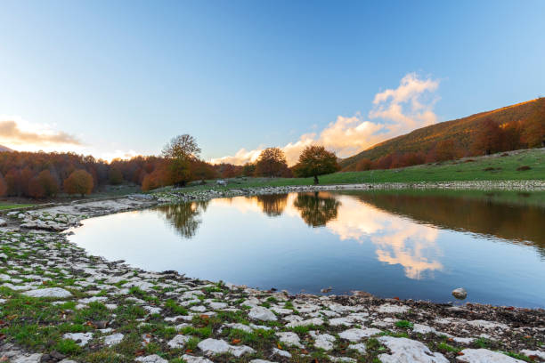 Reflections of wood with orange leaves in a small mountain lake, sunset view, Apennines, Italy, Europe