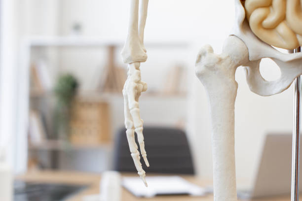 Rheumatoid arthritis Bones the of foot