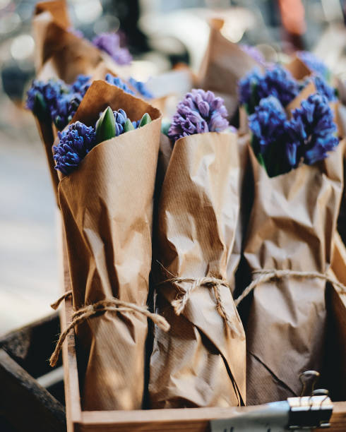 istock Hyacinths in paper 2168843051