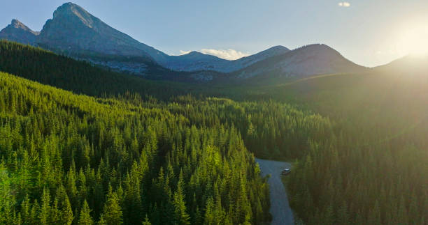 istock Aerial view of forest and mountains 2168850000