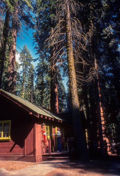 istock Sequoia NP - Returning to Cabin - 1978 2168850133