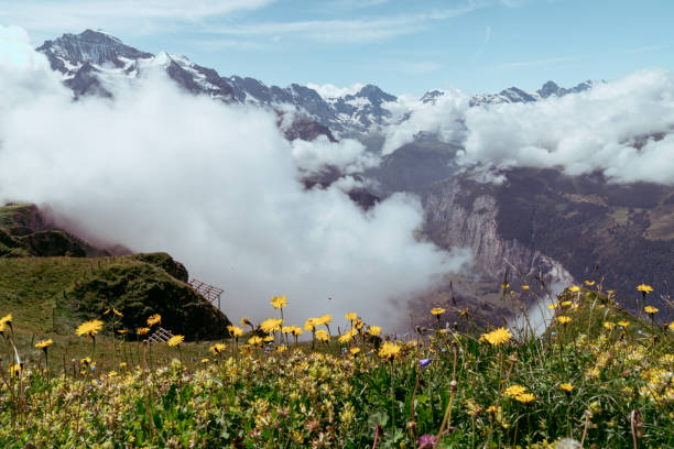 Royal Walk hike. Clouds obstruct the view at the Royal Walk viewpoint hike in Mannlichen Switzerland