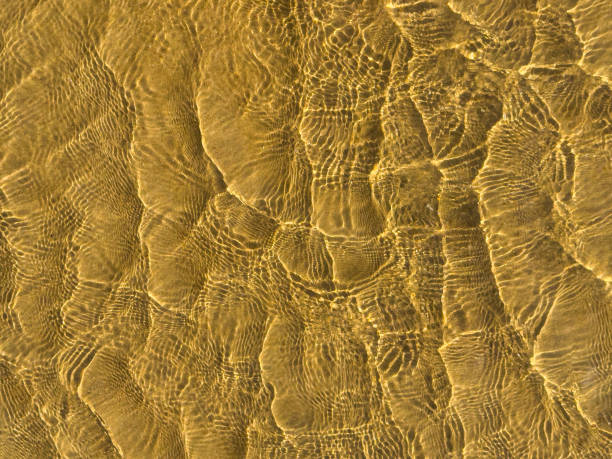 Golden ripples in shallow water creating intricate patterns.