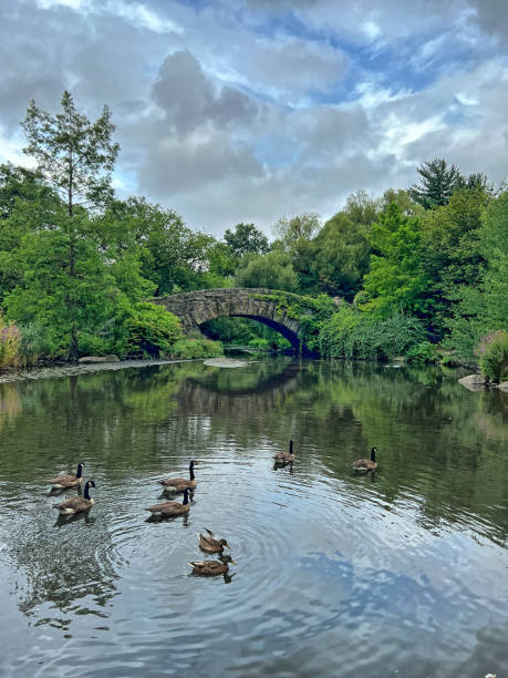 istock Gapstow Bridge in Central Park 2168862605