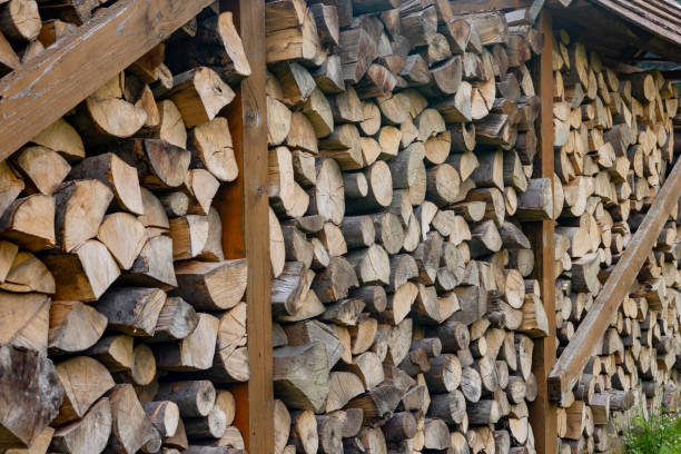 istock Large pile of chopped firewood 2168864500