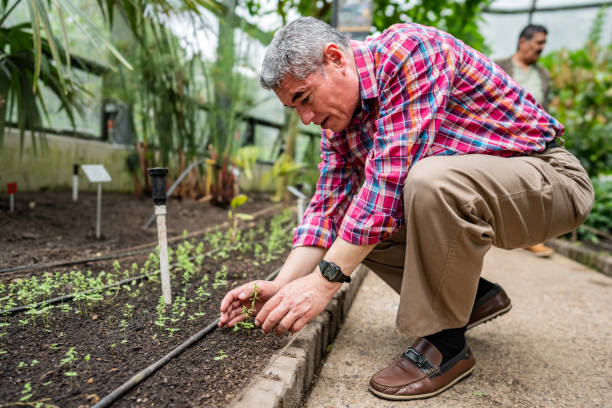 istock Senior man visiting botanical garden 2168874413