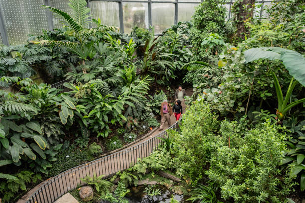 Friends on an expedition through the botanical garden