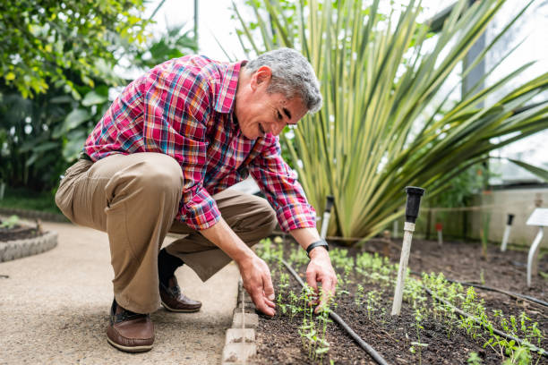 istock Senior man visiting botanical garden 2168874916