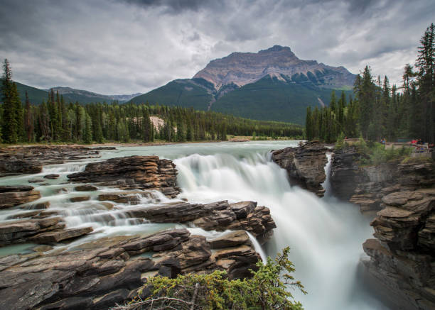 istock Majestic Cascade in the Canadian Wilderness - Athabasca Falls 2168876194