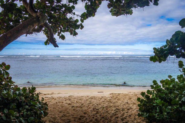 Playa frontón, Samaná, República Dominicana