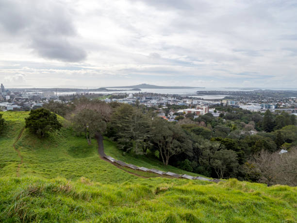 istock Central Auckland at winter 2168882239