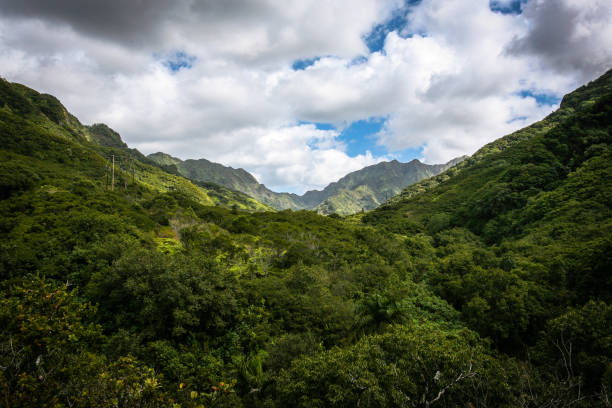 Free Stock Photo of Lush green mountains under a cloudy sky | Download ...