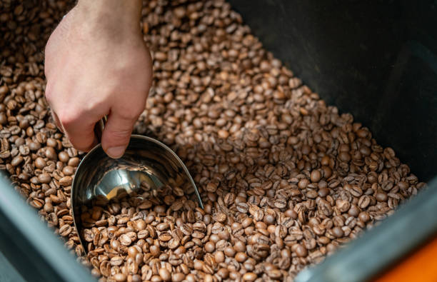 istock The man is packaging roasted coffees ready for sale. 2168884536