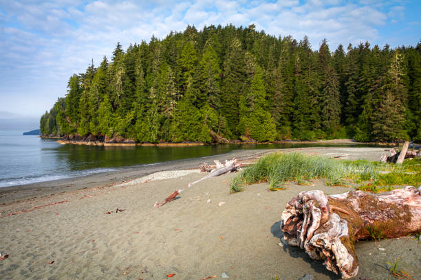 istock Pacheedaht Beach, Port Renfrew, British Columbia 2168891220