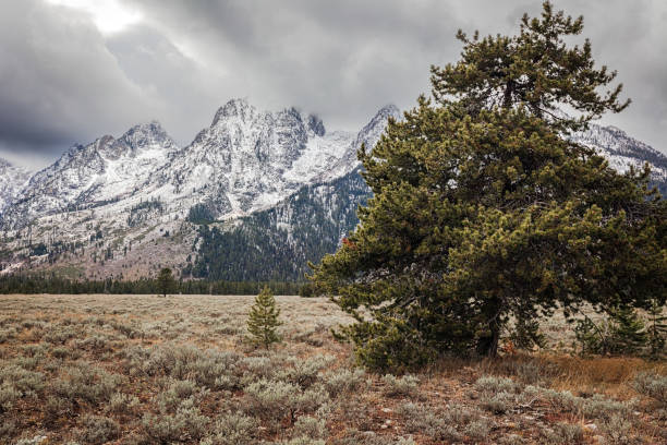 Dark storm clouds over a snow-covered Teton Range, meadow and forest  in Grand Teton National Park, Wyoming.