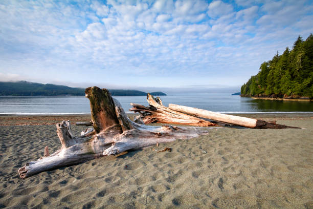 Pacheedaht Beach located in Port Renfrew is a popular west coast Vancouver Island travel destination.