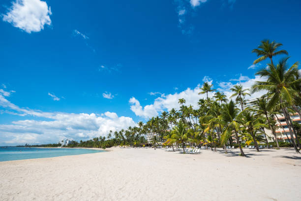 Cap Cana, Dominican Republic - February 23, 2025: street view of luxury residence Cap Cana.