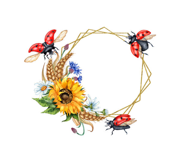 Sunflowers cornflowers daisies frame with ladybugs geometric hexagonal watercolor Sunflower, daisies, cornflower, ears of wheat and ladybugs geometric hexagonal watercolor frame. Harvest Festival. The bouquet is isolated from the background. Compositions posters, postcards, banners ladybug frame border clip art stock illustrations