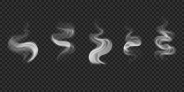 set von realistischem rauch, nebel auf wasser, grill, heiße getränke, essen. - dampfschiff stock-grafiken, -clipart, -cartoons und -symbole